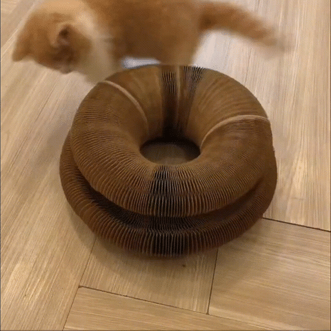 Brinquedo Especial para Gato