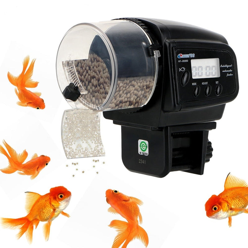 Alimentador automático de peixes